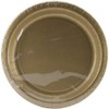 Creative Converting Dinner Plate, 8.75", Glittering Gold