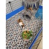 Tater Pets Guinea Pig Fleece Cage Liner - Tidy Mat