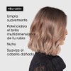L'Oréal Professionnel Blondifier Shampoo Restaurador 500ml