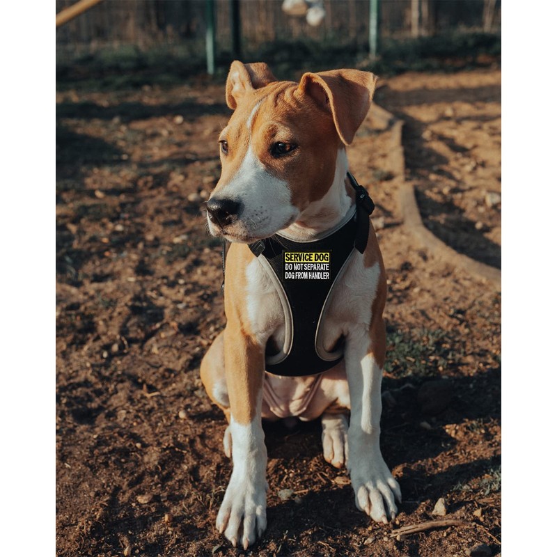 4 Pcs Reflective Dog Patches for Service Dog Vest Tactical