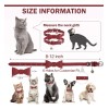 Collar Cuero Gato Con Campana Hebilla Seguridad Ajustable