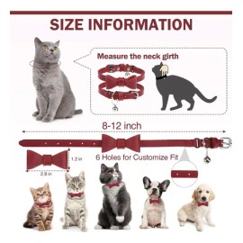 Collar Cuero Gato Con Campana Hebilla Seguridad Ajustable