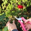 Fiskars Floral Pruning Shears, Gardening Gifts for Women, Plant Cutting