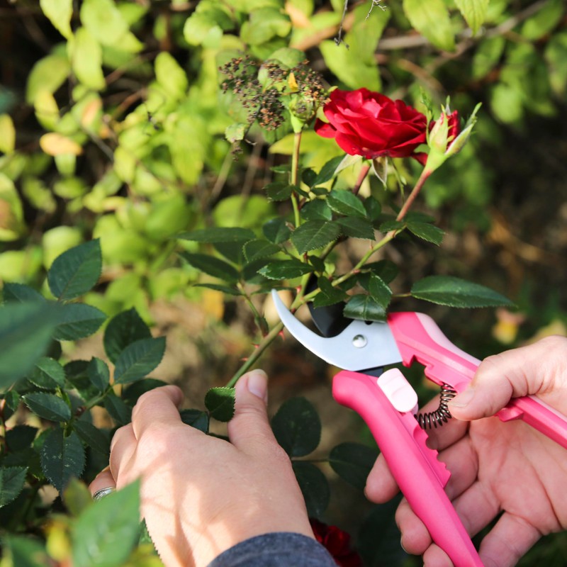 Fiskars Floral Pruning Shears, Gardening Gifts for Women, Plant Cutting