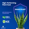 AgroMagen Plant Food with Essential Nutrients & Chelated Micronutrients, Liquid