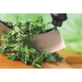 Ironwood Gourmet Tools Salad Serving Utensils, 5-Inches, Brown