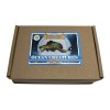OCEAN CREATURES - Mystery Animal Figure Box - 3 Miniature