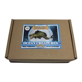 OCEAN CREATURES - Mystery Animal Figure Box - 3 Miniature Figures