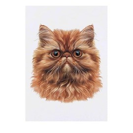 'Persian Cat Front View' Temporary Tattoo - Water Resistant, Skin-Safe, Non-Toxic Transfer (TO00077109)