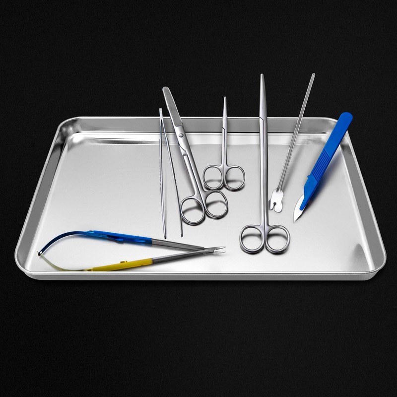 QWORK Stainless Steel Instrument Tray, Multipurpose Service Tray with Flat