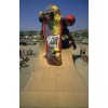 GATOR STICKER Vision Skateboards WORLD INDUSTRIES VINTAGE Thrasher BONES BOGO