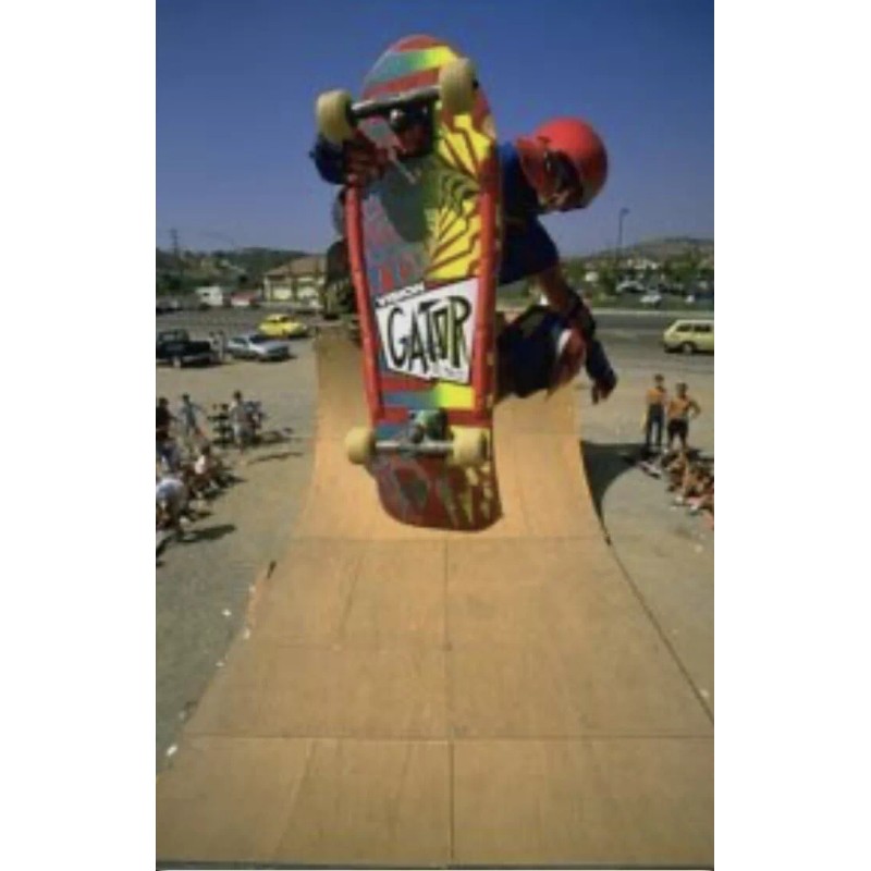 GATOR STICKER Vision Skateboards WORLD INDUSTRIES VINTAGE Thrasher BONES BOGO
