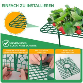 AONYIYI Pack of 12 square strawberry rippers, strawberry support stand, snail protection, strawberry supports, snail protection and protection against rot mould