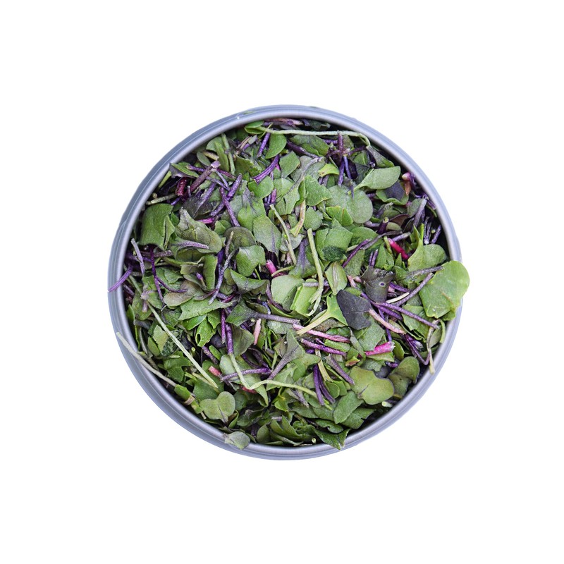 BeMicro Whole Food Microgreens - US grown, Small Batch, Nutritional