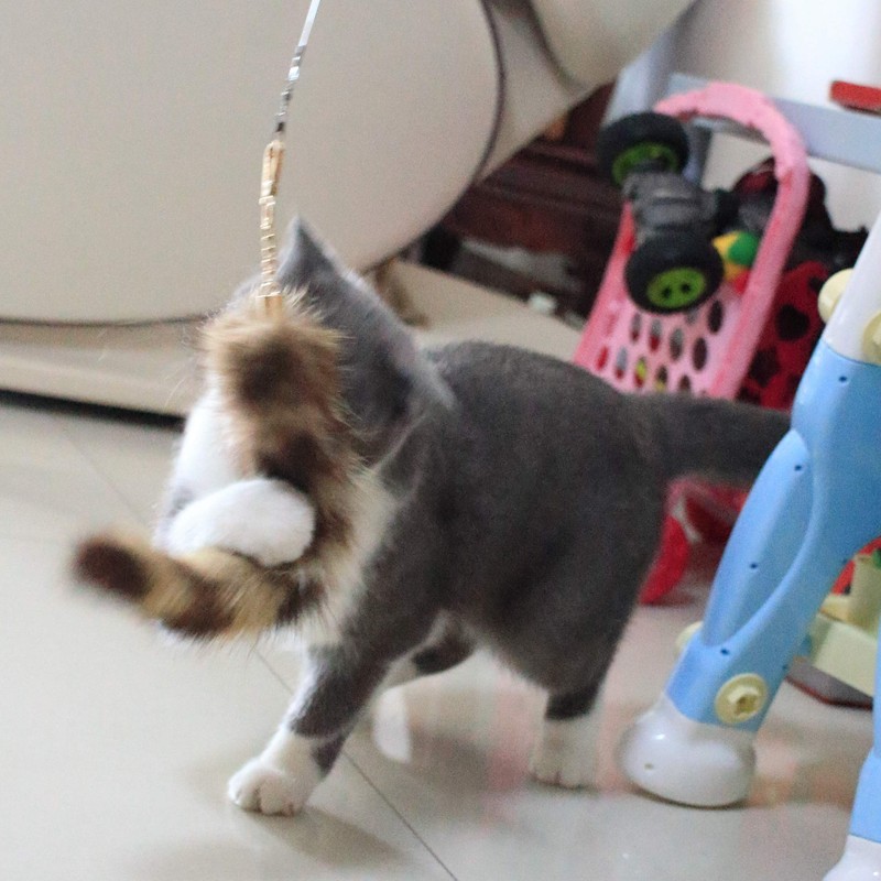Fosrion Real Raccoon Tail Fur Cat Bites Toy with Three