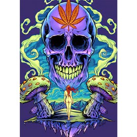 NAIMOER Skeleton Diamond Painting Kits for Adults, DIY 5D Diamond Painting, Full Drill Diamond Art Kits Art Pictures Perfect for Relaxation and Home Wall Decor 30x40cm