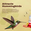 Hummingbird Feeder Bee Repellent, 8oz