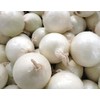 7,000 Southport White Globe Onion Seeds for Planting Long Day