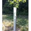 24" Miracle Tree Tube (50)
