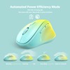 Ergonomic Wireless Mouse with USB Receiver for PC Computer, Laptop