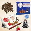 Backflow Incense Cones - Combo Pack of 20 Incense Cones