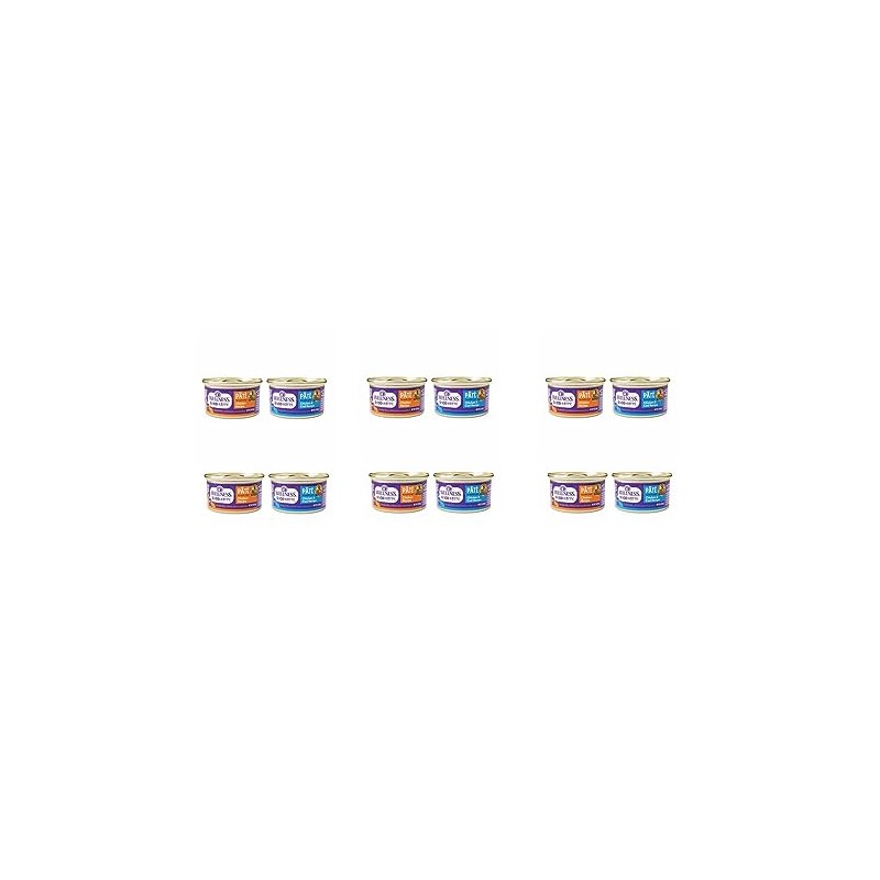 Wellness Good Kitty Wet Cat Food Pate Variety Pack, 3