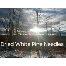 Maine Forest & Farm 4oz MAINE DRIED EASTERN WHITE PINE NEEDLES PINUS STROBUS TEA ORGANIC