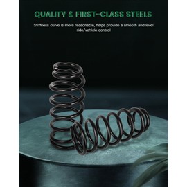 SCITOO 2Pcs Rear Suspension Coil Spring Set Fits 2006 2007 2008 2009 2010 2011 for Honda Civic with 81681 52441SNAA02 Coil Springs