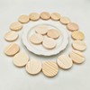 20PCS Pine Circle Plaque, 5x1cm Blank Unfinished Round Wooden Circles