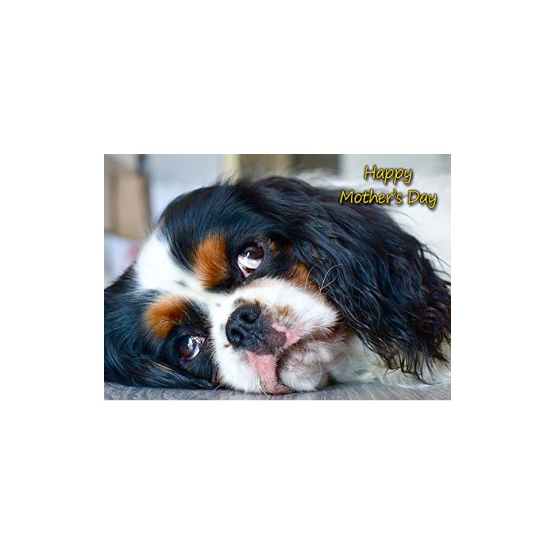 Cavalier King Charles Spaniel Dog Mothers Day Greeting Card