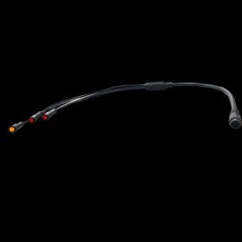 Wire Harness for Rebel