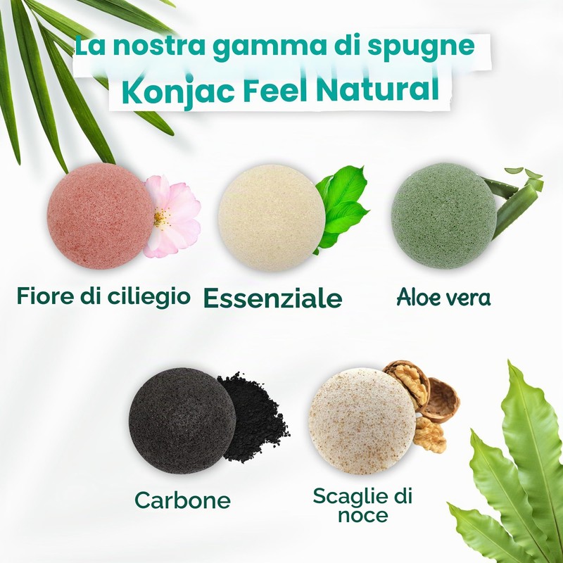 Konjac - Spugna naturale per il viso, pulisce e purifica