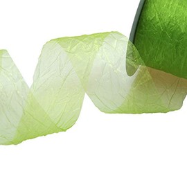 Deko AS GmbH 68050 60-R 50 60-R 50 Crash Organza Green 50 mm Wide Roll 20 m