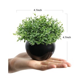 Velener Fake Sage Plants for Shelf Decor, Small Artificial Succulents Grass Desk Plant for Office Women, Mini Faux Plant Indoor, Masculine Home Decor, Coffee Table Decor, Bathroom Decor (2 Pack)