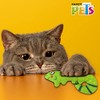 Fancy Pets Juguete Camaleón para Gato con Sonido