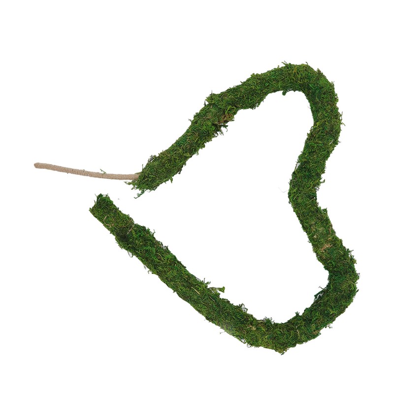 Natural Moss Pole Bendable Moss Plant Rod Plant Climbing Gardening