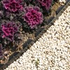1.5 Inch x 200FT Garden Edging Border,Landscaping with 240pcs Spikes