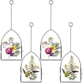 Qunclay 4 Pcs Double Glass Flower Frames Taper Brass Floating Picture Frame Clear Floating Flower Wall Hanging Display Picture with Locket Closure Chain for Artwork(4 x 6 Inch,Black)