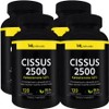 My Life Naturals Cissus 2500mg, 4 units, 120 tablets / 마이라이프 내추럴스 시서스 2500mg, 4개, 120정