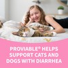 Nutramax Proviable Probiotics for Dogs and Cats, Daily Digestive Health