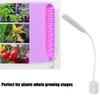 LED Plant Lamp USB Powered 360° Adjustable Plant Growing Lamp