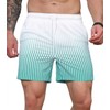 Curluriy Swimming Shorts for Men Beach Shorts Colour Gradient Board