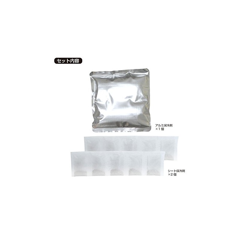 Heatstroke Prevention Goods (BR-571 Ice Bag Double Replacement Ice Pack