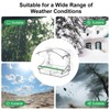 Clear Window Bird Feeder with 4 Strong Suction Cups, Removable