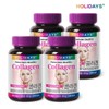 Holeydaezes 홀리데이즈 콜라겐 120정 4병 (16개월분) Holidayzes Collagen 120 Tablets