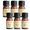 NAGOMI AROMA Essential Oil Trial Set (AAJ Display Standard Certified
