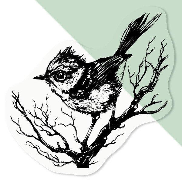 Azeeda 4 x 'Wren Bird on Branch' Clear Sticker Decals