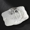 Btilasif Cowboy Belt Buckle for Men Women Mens Bison Belt