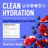 Keppi Electrolytes Powder Packets – Blueberry Pomegranate 30 Servings –