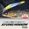 Daiwa Ayuing Minnow 95SS Clear Jawari Riayu